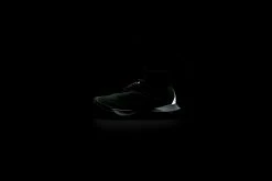 Nike ACG Mountain Fly Gore-Tex (Clay Green/Black)