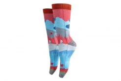 Arkansocks - Night Fall (Clay/Coastal Blue) ACCESSORIES