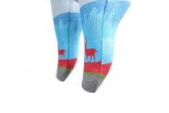 Arkansocks - Night Fall (Clay/Coastal Blue) ACCESSORIES