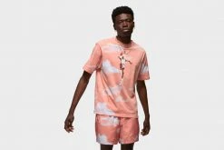 Air Jordan Essentials Take Flight Tee (Light Madder Root)