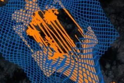 Born X Raised - Warped Boardwalk L/S (Black) APPAREL