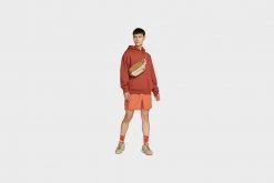 Nike ACG Shorts (Rust)