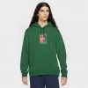 Nike SB Graphic Skate Hoodie (Pine Green) New Arrivals