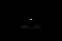 Nike Venture Runner (Mineral Clay/Mystic Navy) New Arrivals