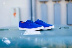 WMNS Vans Authentic Lo Pro (Blueprint/Camellia) SNEAKERS
