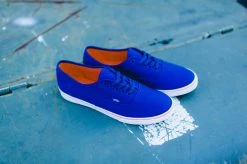 WMNS Vans Authentic Lo Pro (Blueprint/Camellia) SNEAKERS