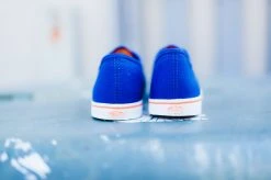 WMNS Vans Authentic Lo Pro (Blueprint/Camellia) SNEAKERS