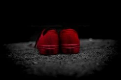 SNEAKERS Vans Primary Mono Authentic (Red/Silver)